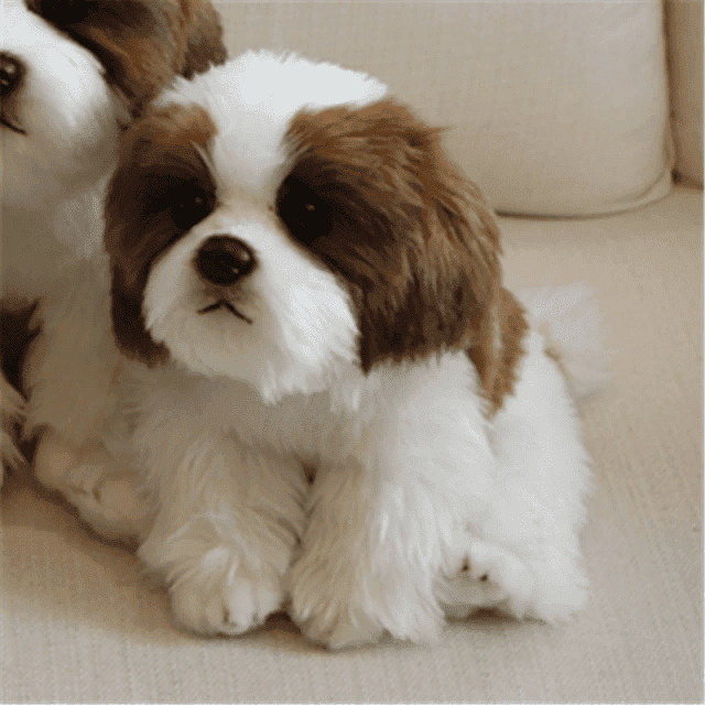 Peluche Chien Blanc et Marron – Image 2